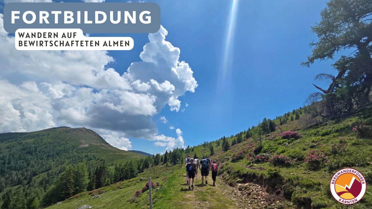 Wandern auf bewirtschafteten Almen - Titelbild