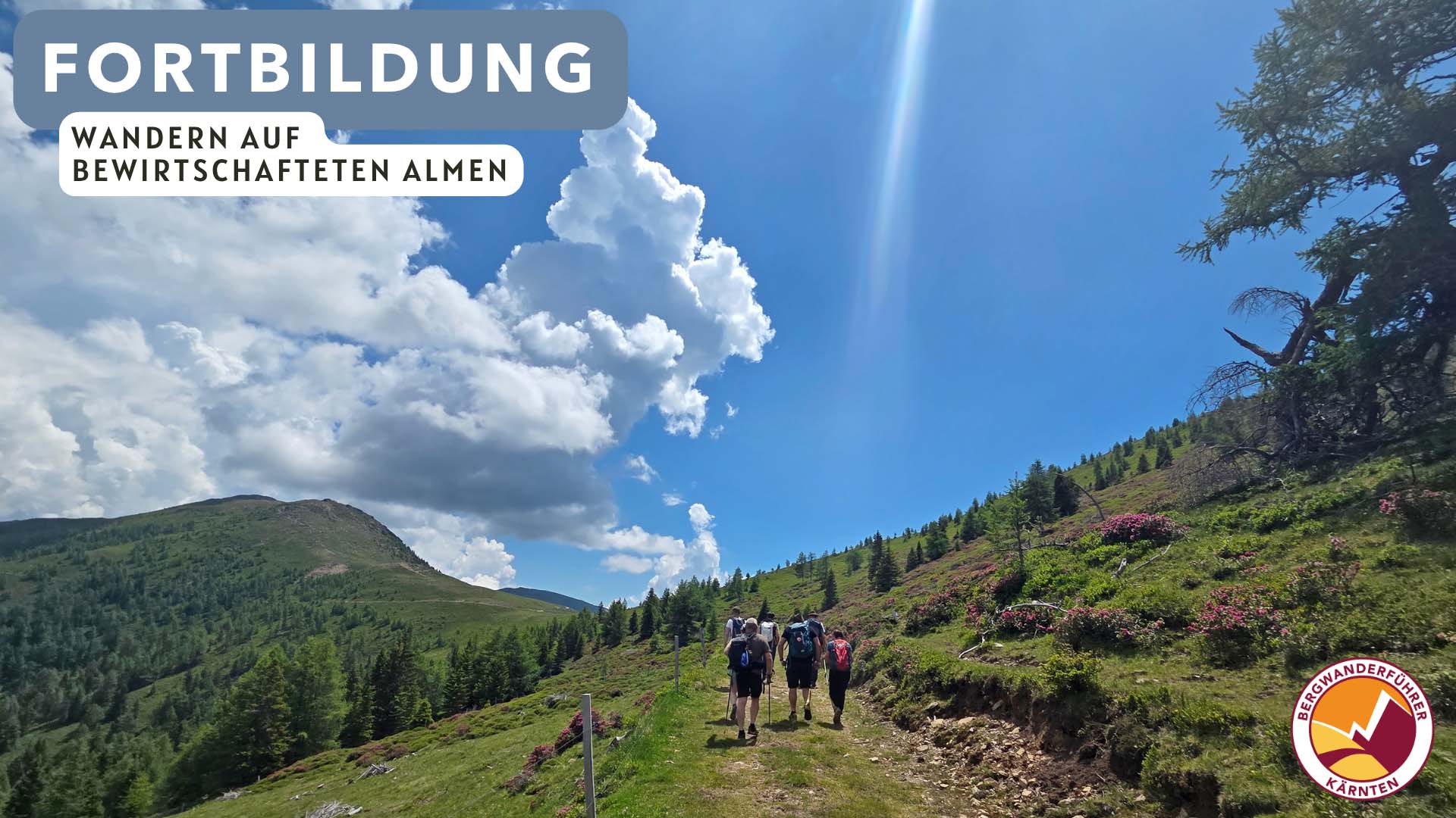 Wandern auf bewirtschafteten Almen - Titelbild